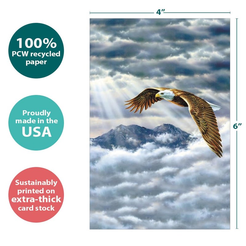 Tree-Free Greetings بطاقات تحية روح النسر لجميع المناسبات - 12 بطاقة ملاحظات معاد تدويرها بحجم 4x6 وأظرف بيضاء، ورق سميك، مصنوعة في الولايات المتحدة - فن الطبيعة الرائع - Image 3